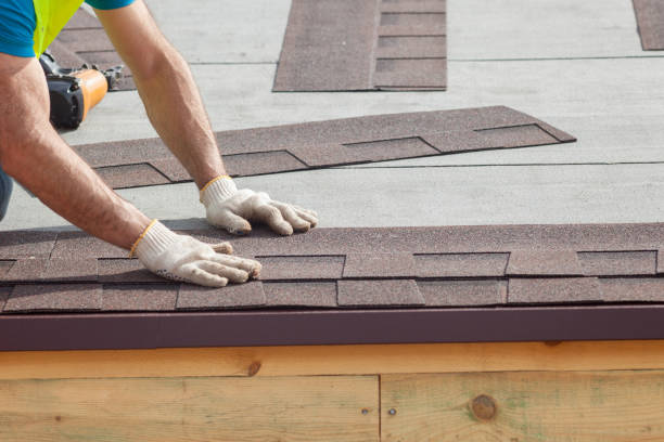 Best Skylight Installation and Repair  in Freedom, PA